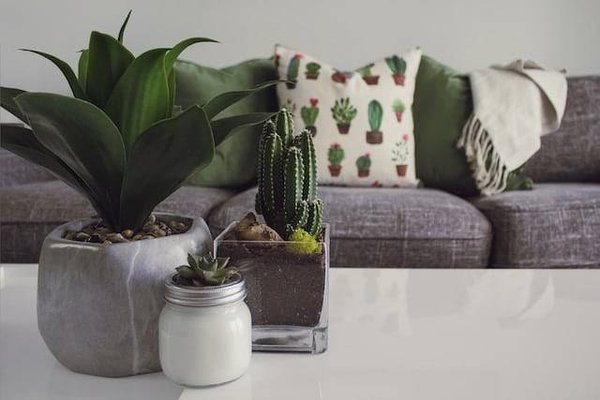 Les accessoires et les objets indispensables pour sublimer son intérieur