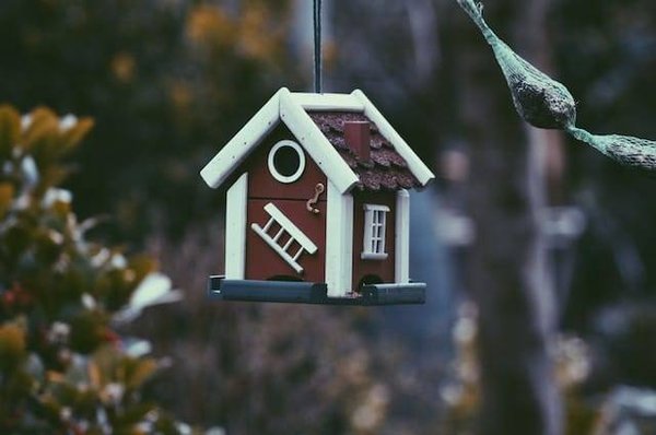 Quels sont les avantages et les inconvénients d'investir dans l'immobilier à Toulouse Côte Pavée ?